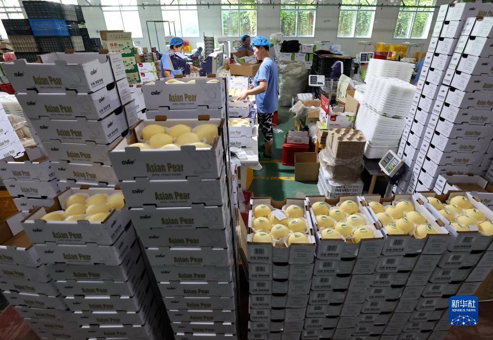 银河糖果网站是什么
